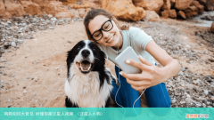 汪星人小狗 狗狗知识大普及,秒懂你家汪星人视频