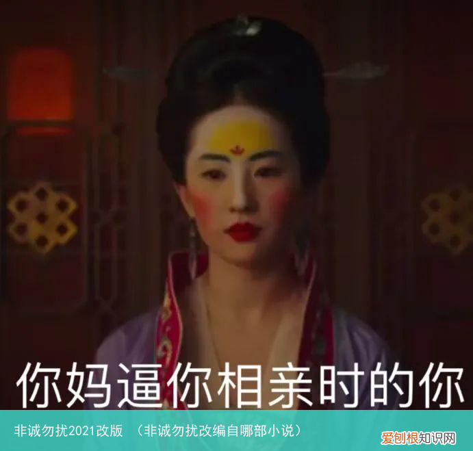 非诚勿扰改编自哪部小说 非诚勿扰2021改版