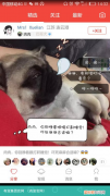 有宠官网 有宠集团官网