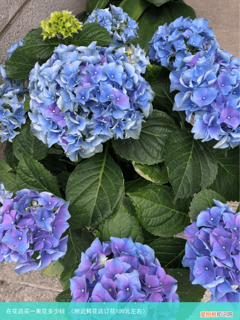 附近鲜花店订花100元左右 在花店买一束花多少钱
