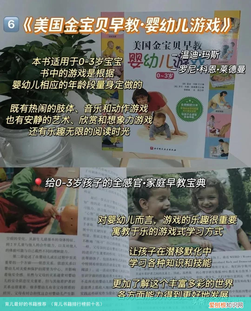 育儿书籍排行榜前十名 育儿最好的书籍推荐