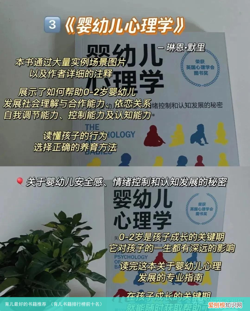育儿书籍排行榜前十名 育儿最好的书籍推荐