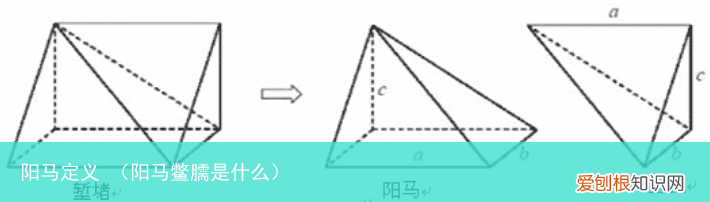 阳马鳖臑是什么 阳马定义