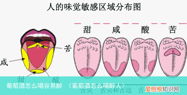 葡萄酒怎么喝醉人 葡萄酒怎么喝容易醉