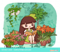 各种花卉养殖方法和注意 花卉养护小知识