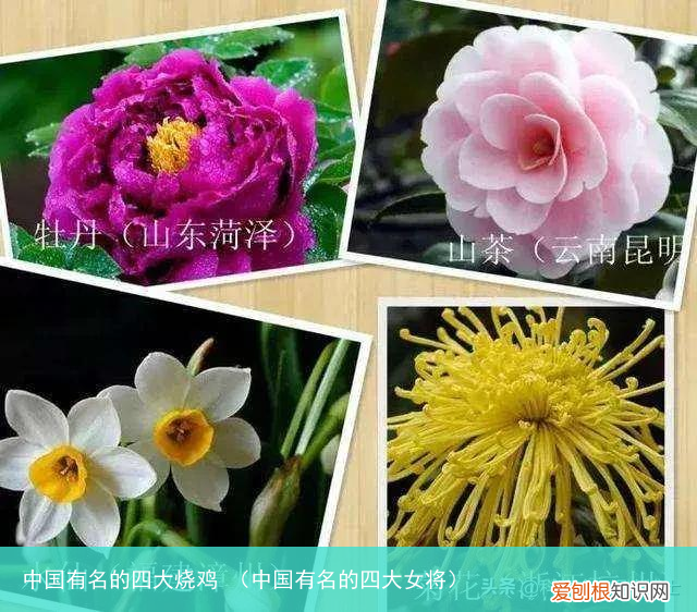 中国有名的四大女将 中国有名的四大烧鸡