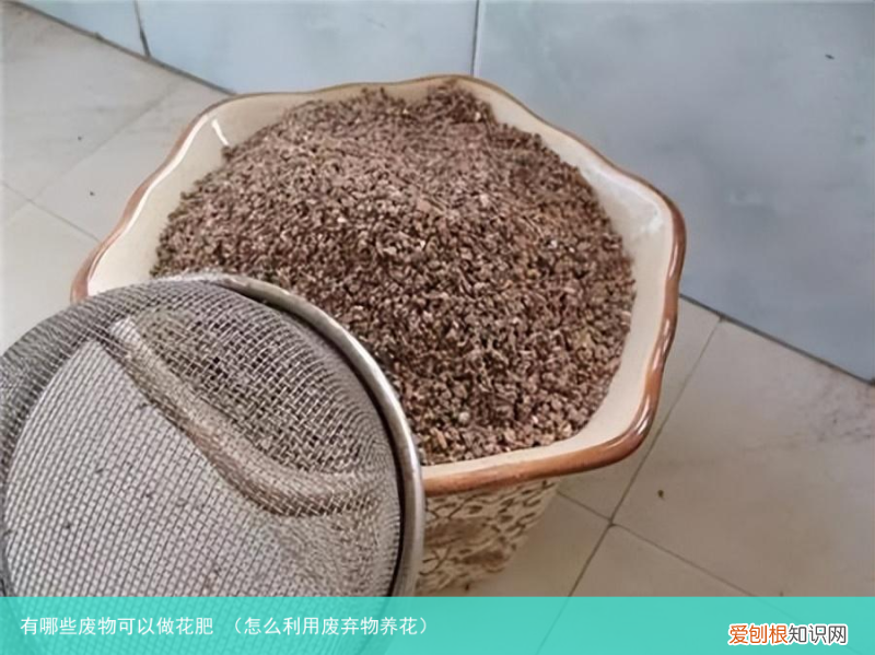 怎么利用废弃物养花 有哪些废物可以做花肥