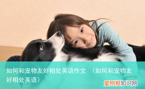 如何和宠物友好相处英语 如何和宠物友好相处英语作文