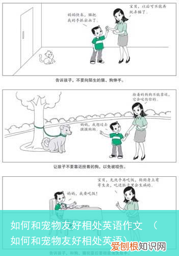 如何和宠物友好相处英语 如何和宠物友好相处英语作文