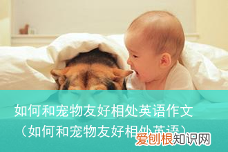 如何和宠物友好相处英语 如何和宠物友好相处英语作文
