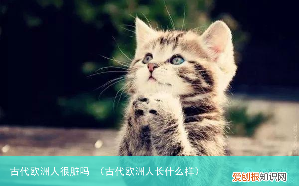 古代欧洲人长什么样 古代欧洲人很脏吗