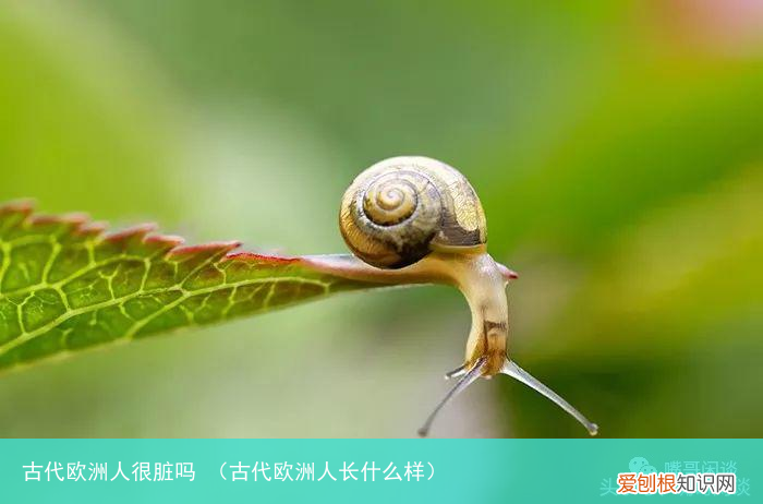 古代欧洲人长什么样 古代欧洲人很脏吗