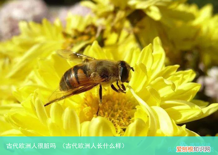 古代欧洲人长什么样 古代欧洲人很脏吗