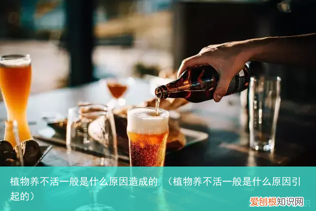 植物养不活一般是什么原因引起的 植物养不活一般是什么原因造成的