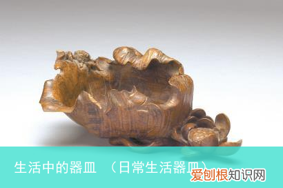 日常生活器皿 生活中的器皿