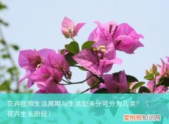 花卉生长阶段 花卉按照生活周期与生活型来分可分为几类?