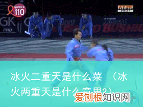 冰火两重天是什么意思? 冰火二重天是什么菜