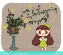 如何养植物的小技巧视频 如何养植物的小技巧