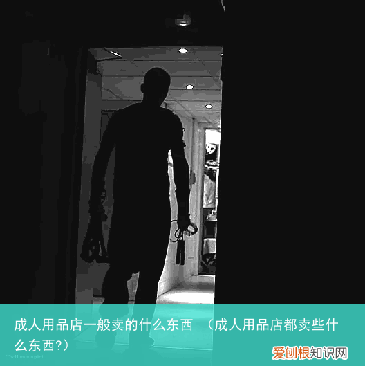 成人用品店都卖些什么东西? 成人用品店一般卖的什么东西