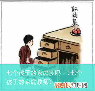 七个孩子的家庭教师 七个孩子的家庭多吗