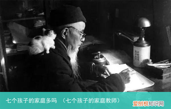 七个孩子的家庭教师 七个孩子的家庭多吗
