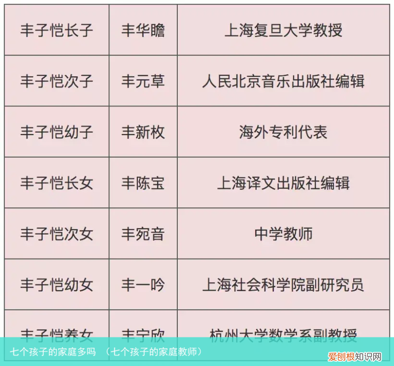 七个孩子的家庭教师 七个孩子的家庭多吗
