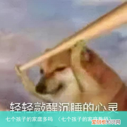 七个孩子的家庭教师 七个孩子的家庭多吗