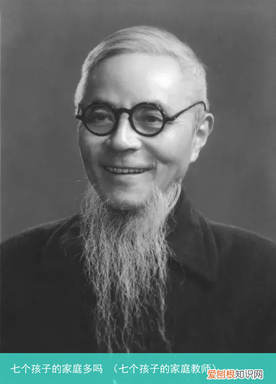 七个孩子的家庭教师 七个孩子的家庭多吗
