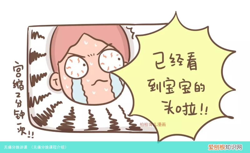 无痛分娩课程介绍 无痛分娩讲课