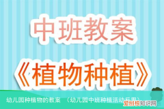 幼儿园中班种植活动反思 幼儿园种植物的教案