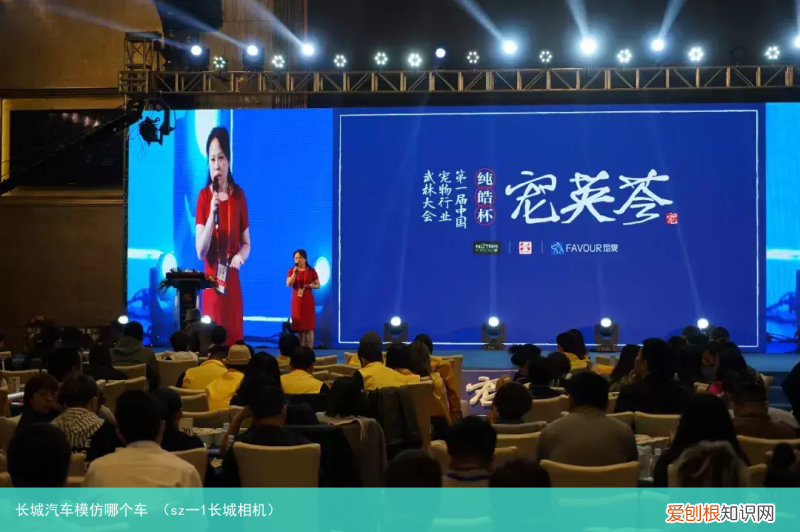 sz一1长城相机 长城汽车模仿哪个车