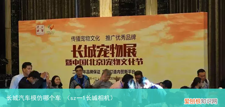 sz一1长城相机 长城汽车模仿哪个车