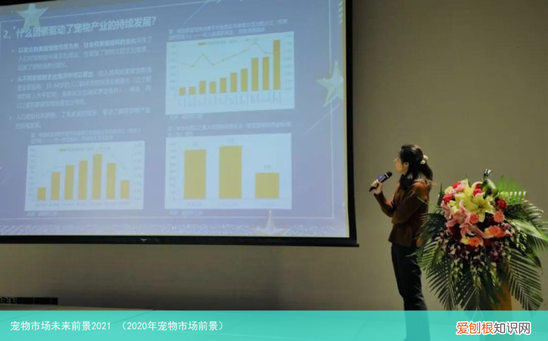 2020年宠物市场前景 宠物市场未来前景2021