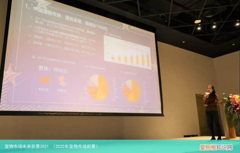 2020年宠物市场前景 宠物市场未来前景2021