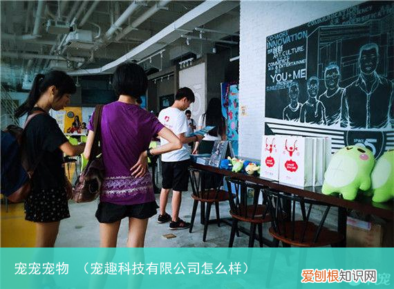 宠趣科技有限公司怎么样 宠宠宠物