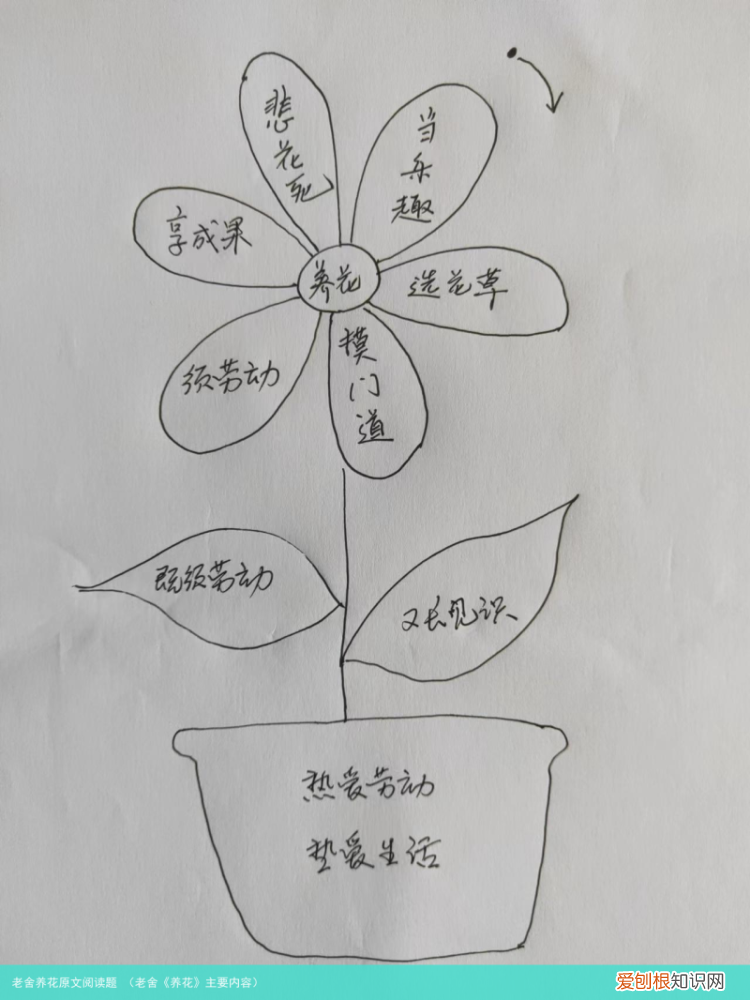 老舍《养花》主要内容 老舍养花原文阅读题