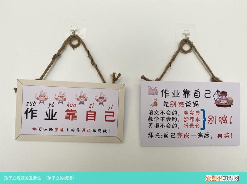 孩子立的规矩 孩子立规矩的重要性