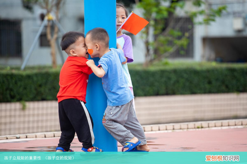 孩子立的规矩 孩子立规矩的重要性