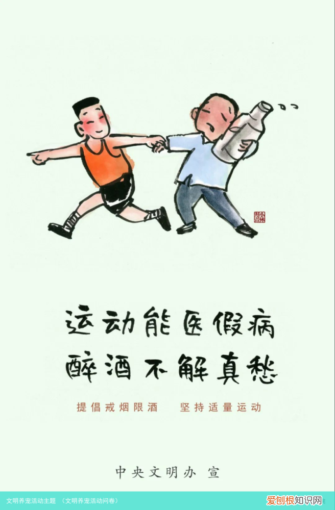 文明养宠活动问卷 文明养宠活动主题