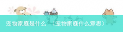 宠物家庭什么意思 宠物家庭是什么