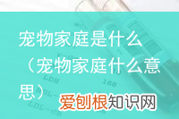 宠物家庭什么意思 宠物家庭是什么