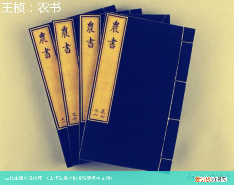 古代生活小说搜索起点中文网 古代生活小说推荐