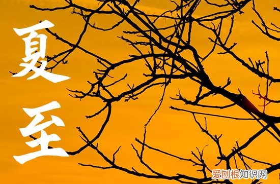 夏至是哪一天几月几号2023年