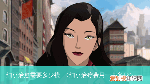 细小治疗费用一共多少 细小治愈需要多少钱