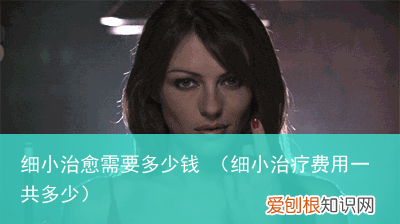 细小治疗费用一共多少 细小治愈需要多少钱