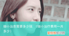 细小治疗费用一共多少 细小治愈需要多少钱