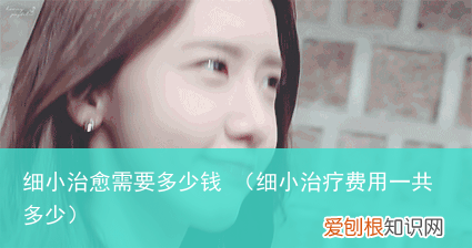 细小治疗费用一共多少 细小治愈需要多少钱