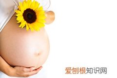 怀孕15周肚子正常多大 ，怀孕15周的肚子多大