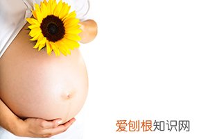 怀孕15周肚子正常多大 ，怀孕15周的肚子多大
