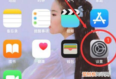 苹果怎么取消连续包月服务,苹果连续包月怎么取消自动续费